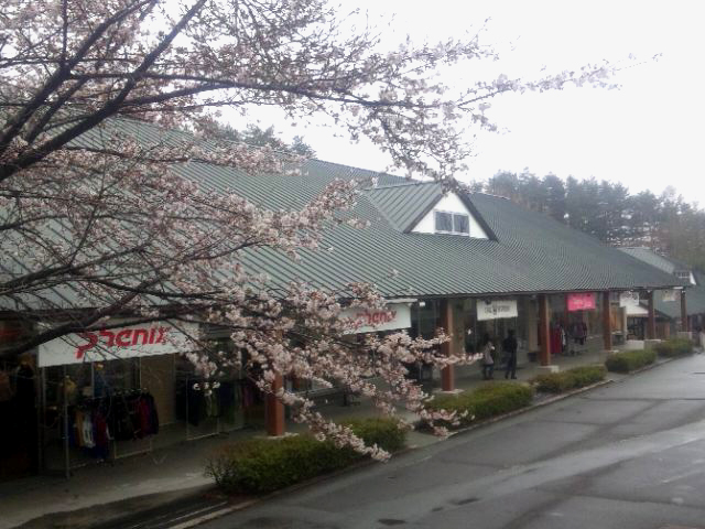 八ヶ岳アウトレットの桜